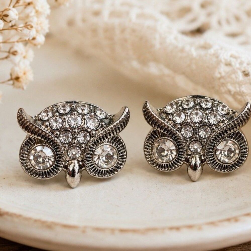 Vintage Rhinestone Owl Stud Earrings Silver Tone Clear Crystal Animal Bird Post